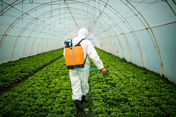 Best Pest Inspection Near Me  in Griffith, IN
