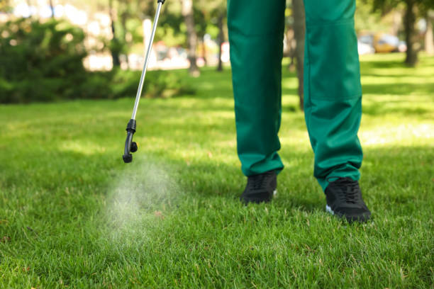 Best Cockroach Control Services  in Griffith, IN