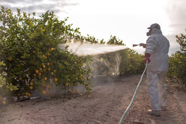 Best Residential Pest Control  in Griffith, IN