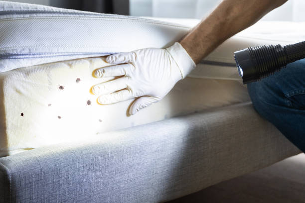 Best Mosquito Control Services  in Griffith, IN