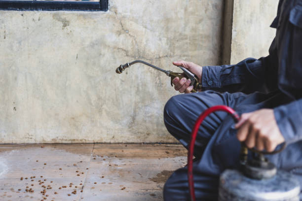 Best Pest Prevention Services  in Griffith, IN